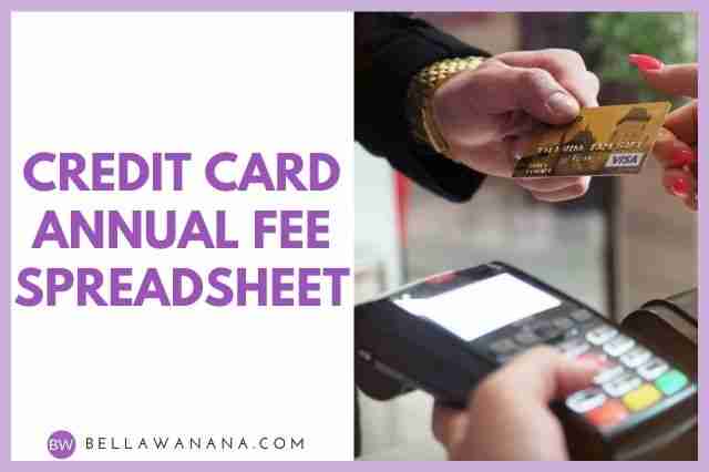 Credit Card Annual Fee Spreadsheet