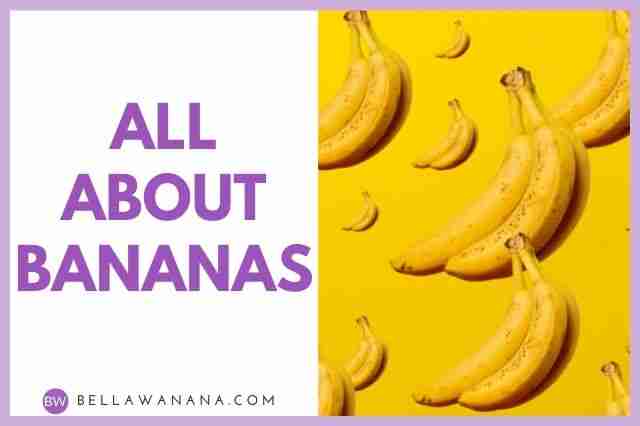 all about bananas
