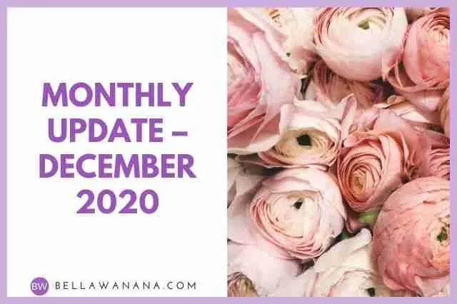 Monthly Update – December 2020