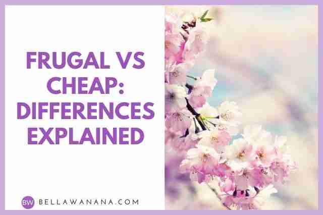 frugal vs cheap