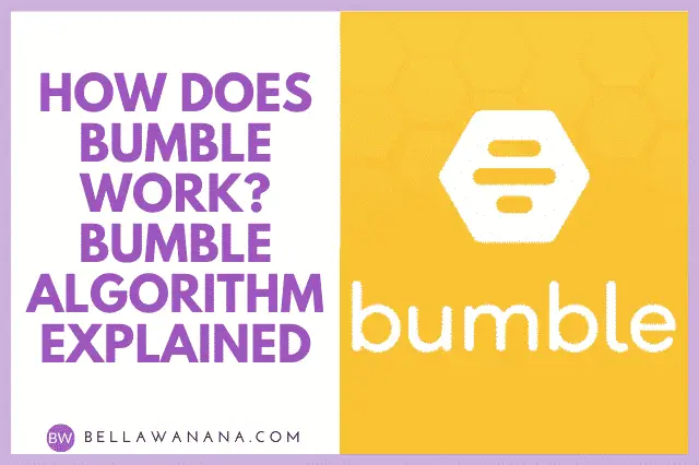 how does bumble work bumble algorithm explained