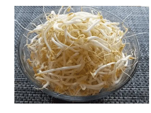 bean sprouts final product