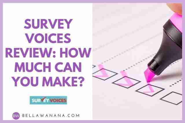 Survey Voices review