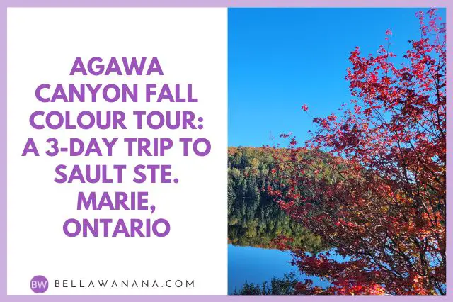 Agawa Canyon Fall Colour Tour Review