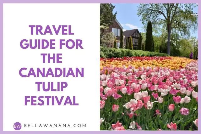 Travel Guide for the Canadian Tulip Festival